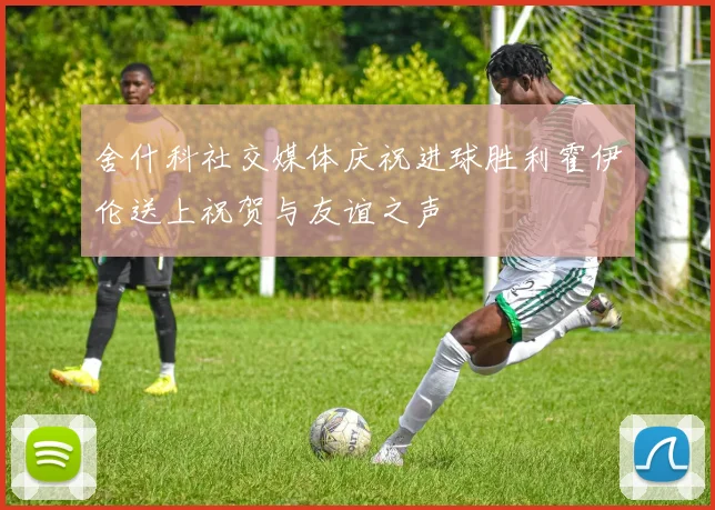 舍什科社交媒体庆祝进球胜利霍伊伦送上祝贺与友谊之声